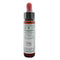 Ainsworths Holly 10ml-Ainsworths-Matakana Pharmacy