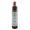 Ainsworths Heather 10ml-Ainsworths-Matakana Pharmacy