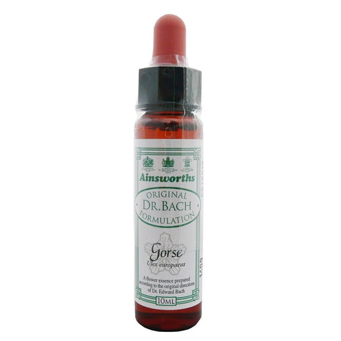 Ainsworths Gorse 10ml-Ainsworths-Matakana Pharmacy