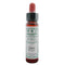 Ainsworths Gorse 10ml-Ainsworths-Matakana Pharmacy