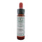 Ainsworths Centaury 10ml-Ainsworths-Matakana Pharmacy