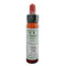 Ainsworths Wild Oat 10ml-Ainsworths-Matakana Pharmacy