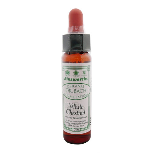 Ainsworths White Chestnut 10ml-Ainsworths-Matakana Pharmacy