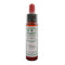 Ainsworths Walnut 10ml-Ainsworths-Matakana Pharmacy