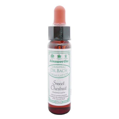 Ainsworths Sweet Chestnut 10ml-Ainsworths-Matakana Pharmacy