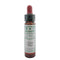 Ainsworths Rock Water 10ml-Ainsworths-Matakana Pharmacy