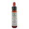 Ainsworths Red Chestnut 10ml-Ainsworths-Matakana Pharmacy