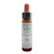 Ainsworths Pine 10ml-Ainsworths-Matakana Pharmacy