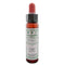 Ainsworths Oak 10ml-Ainsworths-Matakana Pharmacy
