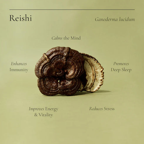 Reishi Powder 100g-Matakana Pharmacy