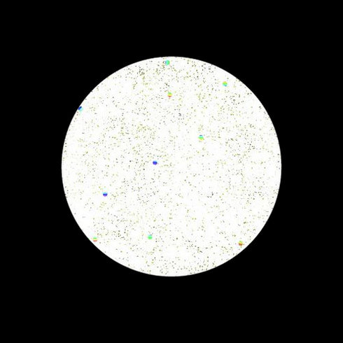 Grand Jewels-Gelish Nails-Matakana Pharmacy