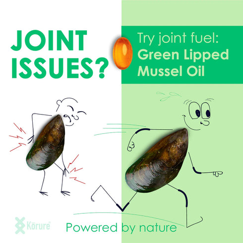 Image of green lip mussels