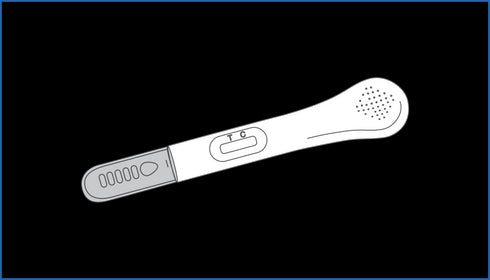 Image of PRIMA Early Pregnancy Home Test Kit contents