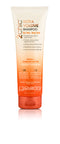 2CHIC Ultra Volume Shampoo Tang. 250ml-GIOVANNI-Matakana Pharmacy