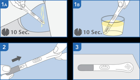 Image of PRIMA Early Pregnancy Home Test Kit how to use