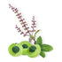 Key ingredients in Flucomune 90 Capsules