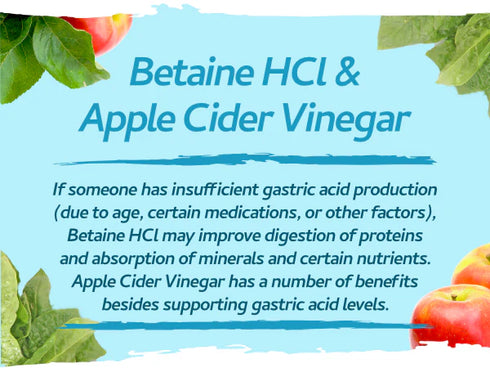 Vegan Digestive Enzymes with Betaine HCI 90 Capsules-Swiss Bioenergetics-Matakana Pharmacy