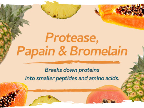 Vegan Digestive Enzymes with Betaine HCI 90 Capsules-Swiss Bioenergetics-Matakana Pharmacy