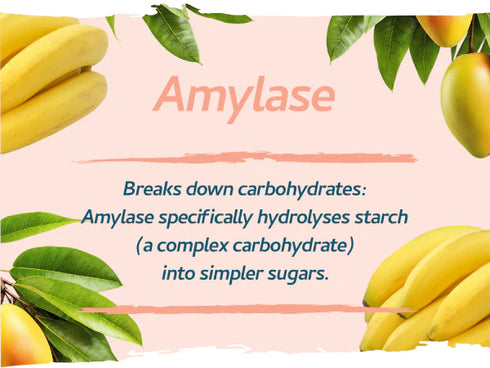 Vegan Digestive Enzymes with Betaine HCI 90 Capsules-Swiss Bioenergetics-Matakana Pharmacy