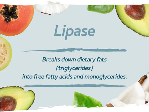 Vegan Digestive Enzymes with Betaine HCI 90 Capsules-Swiss Bioenergetics-Matakana Pharmacy