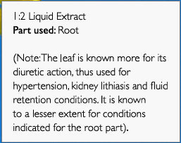 Dandelion Root 1:2 500ml-Nutrition Care-Matakana Pharmacy