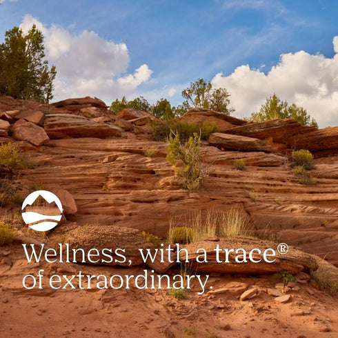 ConcenTrace Mineral Mouth Rinse - Mint 296ml-Trace Minerals-Matakana Pharmacy