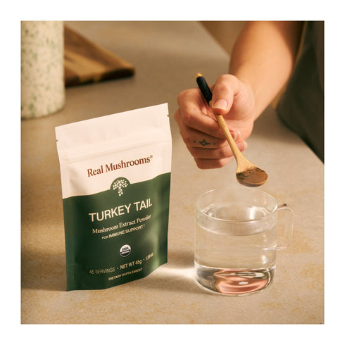 Turkey Tail Extract Powder 45g by Real Mushrooms