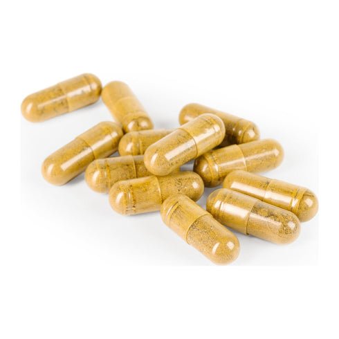 Key ingredients in AP Traveler 90 Capsules