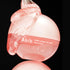 PDRN Collagen Lip Mask Glazed Jelly 11g-Abib-Matakana Pharmacy