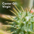 Castor Oil Virgin Organic 200ml-Absolute Essential-Matakana Pharmacy