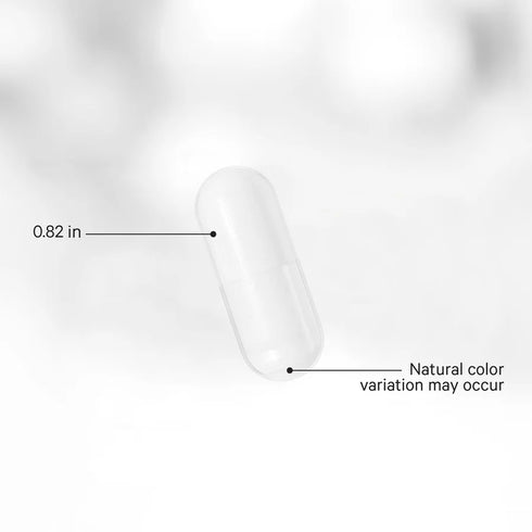 Akkermansia 500 Ultra 90 Capsules-CODEAGE-Matakana Pharmacy