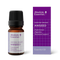 Aniseed Organic Oil 5ml-Absolute Essential-Matakana Pharmacy
