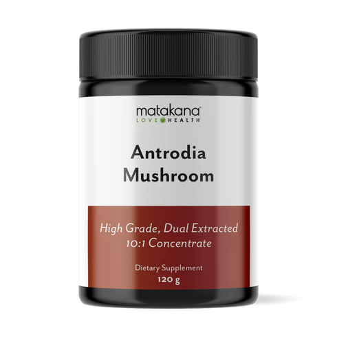 Image of Antrodia Mushroom Extract Powder 120g