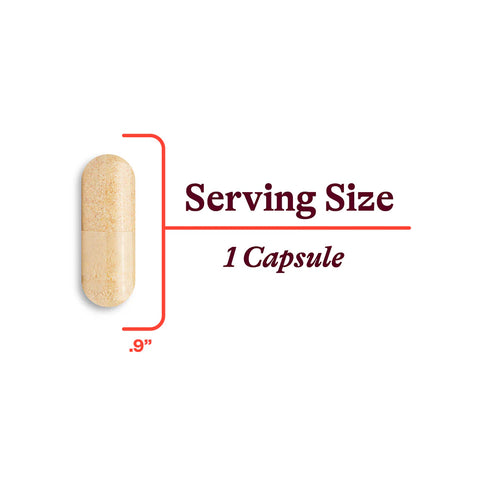 B Complex (Methyl Free) 100caps-Seeking Health-Matakana Pharmacy