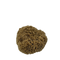 Sea Sponge 10cm-Real World-Matakana Pharmacy