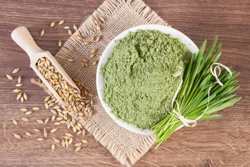 Barley Grass (Leaf) Powder Organic 20kg-Matakana Superfoods-Matakana Pharmacy