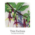 Birth Support Drops 20ml-First Light Natural Health-Matakana Pharmacy