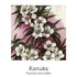 Birth Support Drops 20ml-First Light Natural Health-Matakana Pharmacy