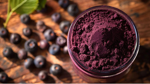 Blackcurrant NZ Organic Powder 1kg-Matakana Superfoods-Matakana Pharmacy