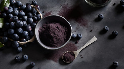 Blueberry Powder Organic Freeze Dried 5kg-Matakana Superfoods-Matakana Pharmacy