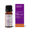 Bug Repellent Organic 10ml-Absolute Essential-Matakana Pharmacy