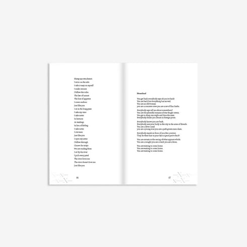 Burst Kisses on the Actual Wind by Courtney Sina Meredith-Beatnik Publishing-Matakana Pharmacy