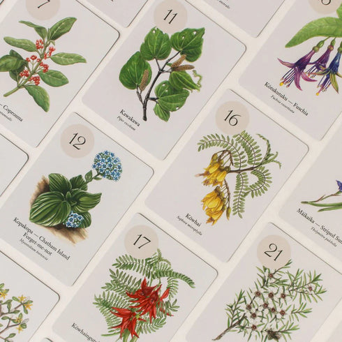 Botanical Bingo-Connor Collection-Matakana Pharmacy
