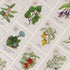 Botanical Bingo-Connor Collection-Matakana Pharmacy