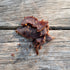 Image of the Biltong