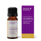 Celebrate Blend 10ml-Absolute Essential-Matakana Pharmacy