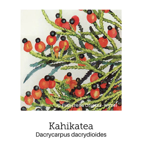 Chakra Balance Support Drops 20ml-First Light Natural Health-Matakana Pharmacy