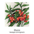 Chakra Balance Support Drops 20ml-First Light Natural Health-Matakana Pharmacy