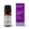Chamomile Roman: Pure Organic 2ml-Absolute Essential-Matakana Pharmacy
