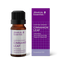 Cinnamon Leaf Organic 10ml-Absolute Essential-Matakana Pharmacy
